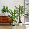 Artificial Dieffenbachia