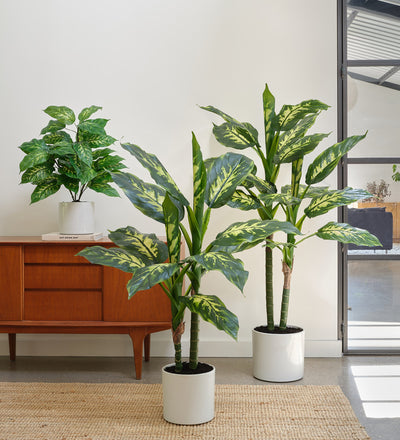 Artificial Dieffenbachia