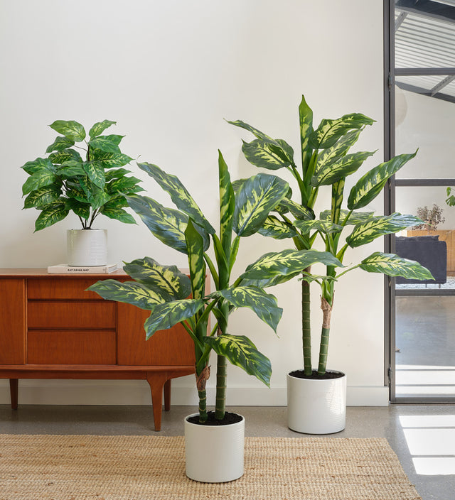 Artificial Dieffenbachia