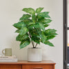 Artificial Dieffenbachia