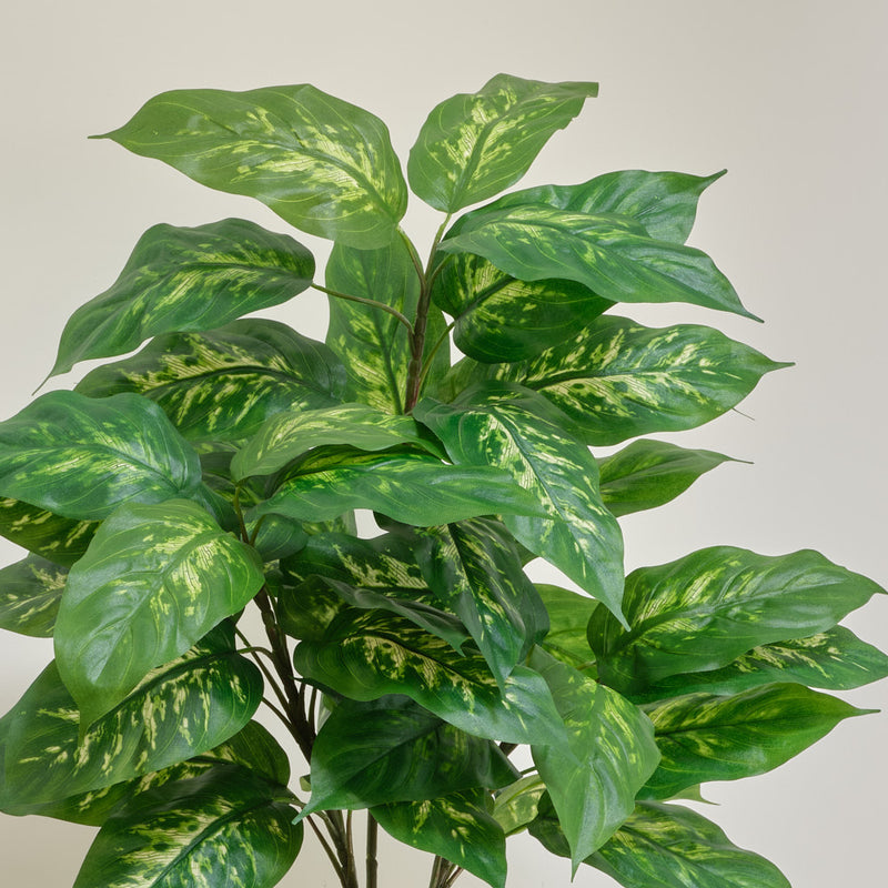 Artificial Dieffenbachia