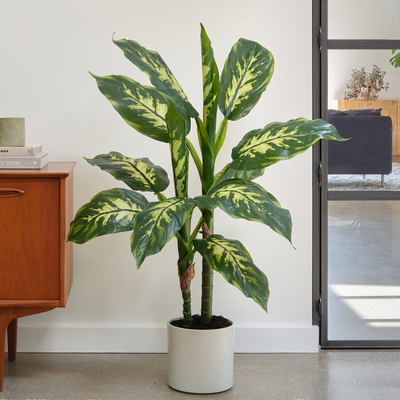 Artificial Dieffenbachia