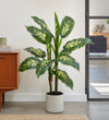 Artificial Dieffenbachia