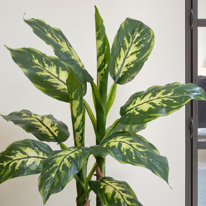 Artificial Dieffenbachia