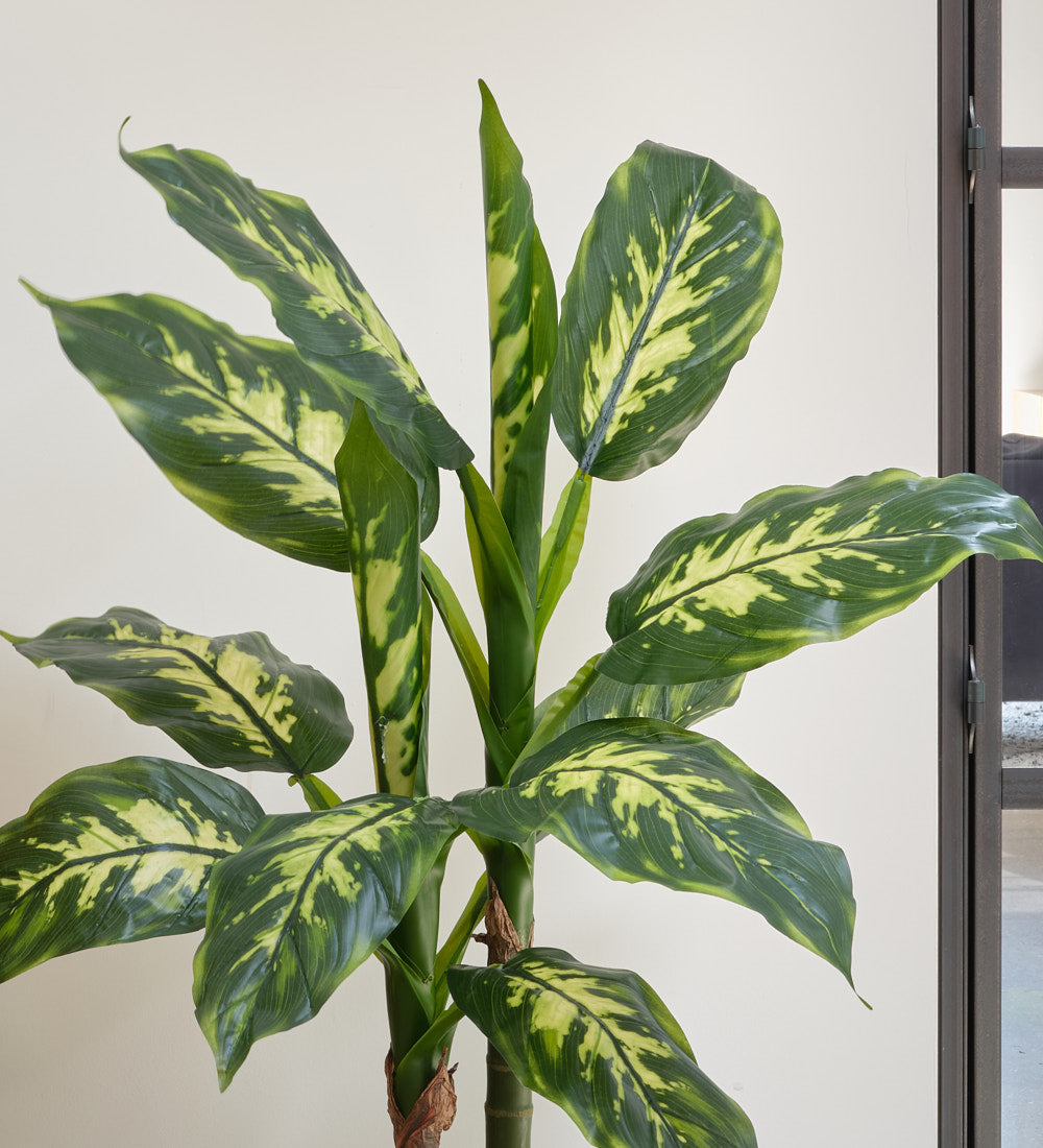 Artificial Dieffenbachia