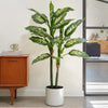 Artificial Dieffenbachia