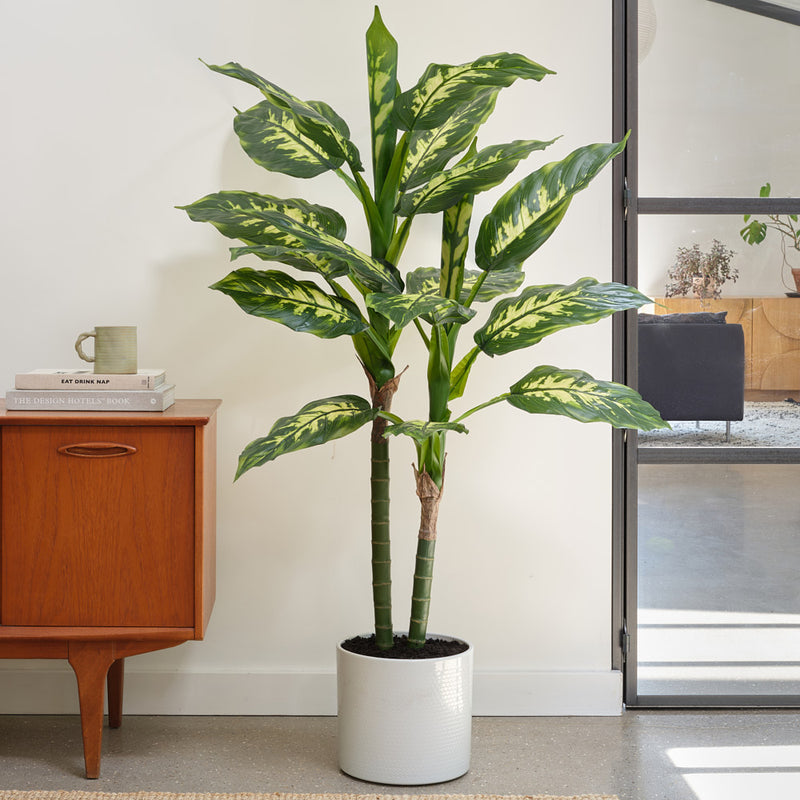 Artificial Dieffenbachia