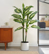Artificial Dieffenbachia
