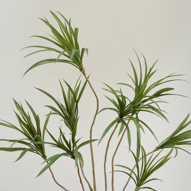 Artificial Dracaena Multi-trunk