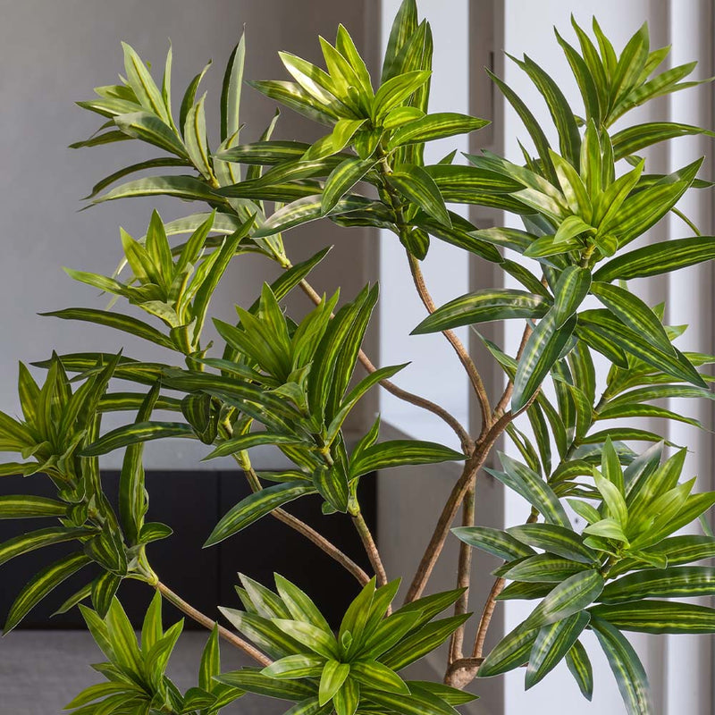 Artificial Dracaena Tree