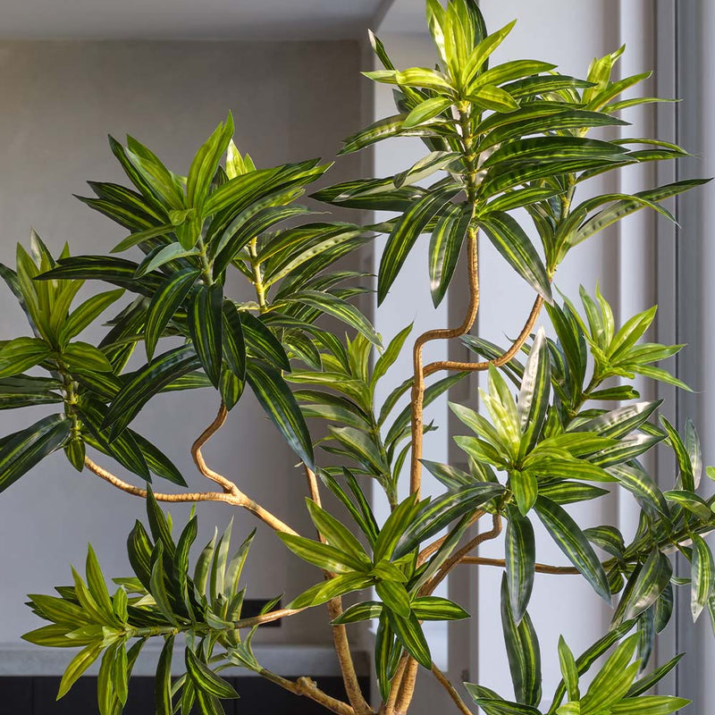 Artificial Dracaena Tree