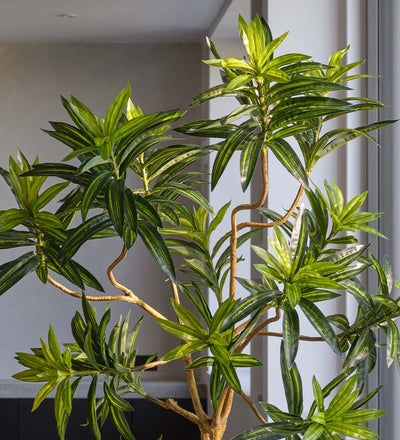 Artificial Dracaena Tree