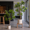 Artificial Dracaena Tree
