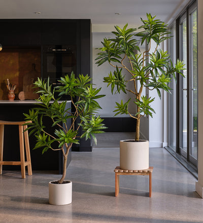 Artificial Dracaena Tree