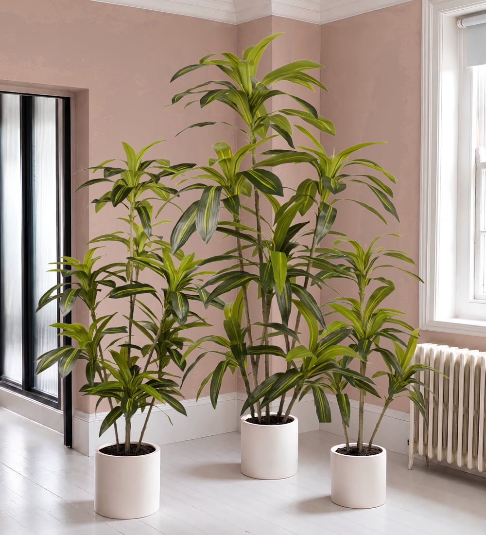 Artificial Dracaena