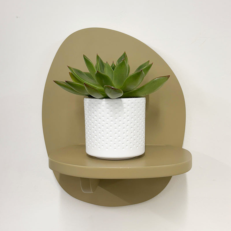 Mini Lipstick Echeveria & Pot