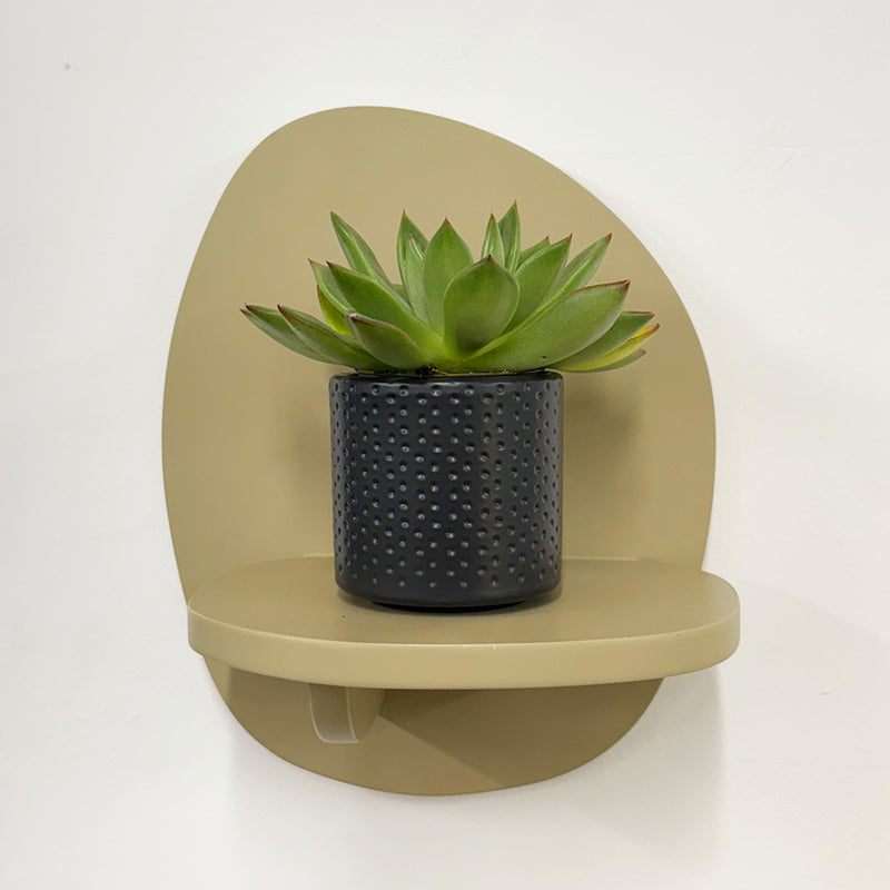 Mini Lipstick Echeveria & Pot