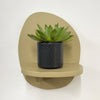 Mini Succulent & Pot