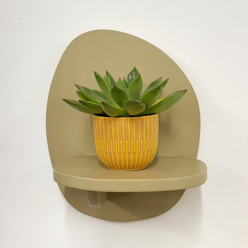 Mini Lipstick Echeveria & Pot
