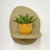 Mini Succulent & Pot