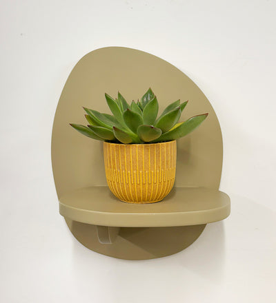 Mini Succulent & Pot