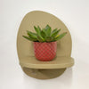 Mini Lipstick Echeveria & Pot