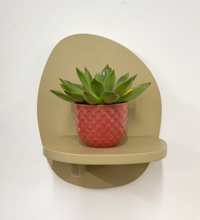 Mini Succulent & Pot