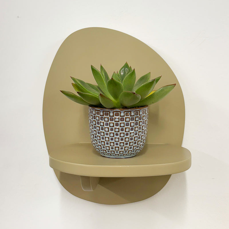 Mini Lipstick Echeveria & Pot