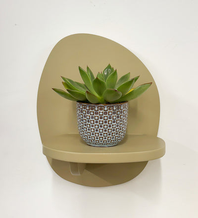 Mini Succulent & Pot