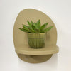 Mini Succulent & Pot