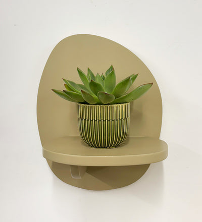 Mini Succulent & Pot