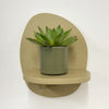 Mini Lipstick Echeveria & Pot