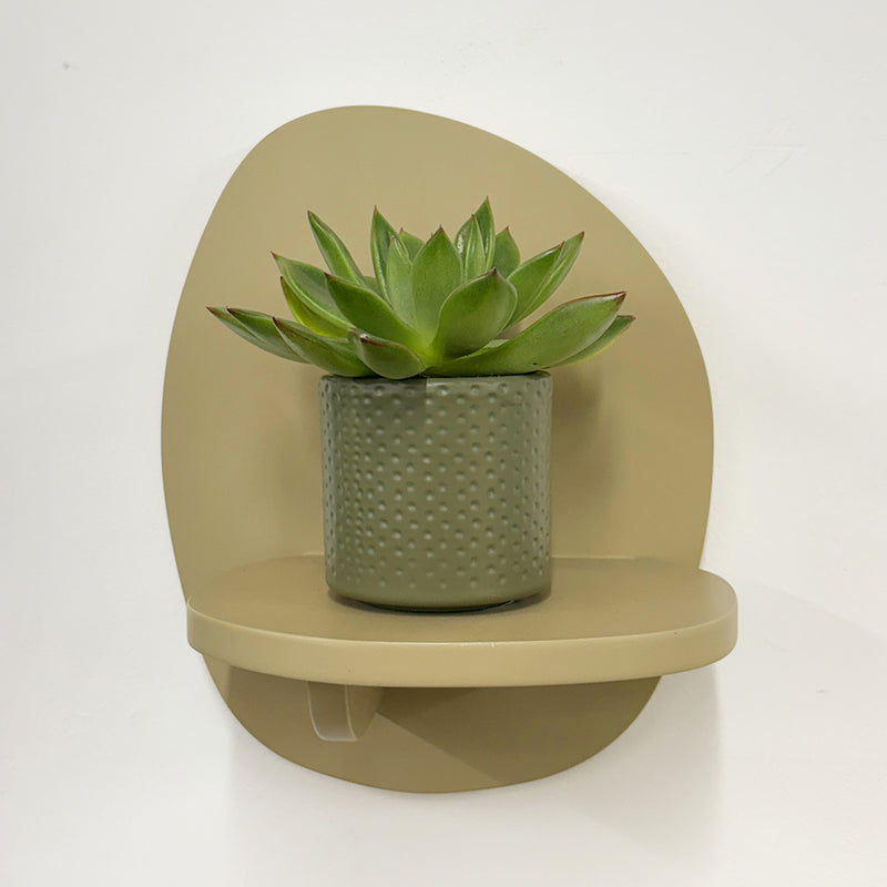 Mini Lipstick Echeveria & Pot