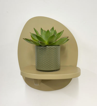 Mini Succulent & Pot