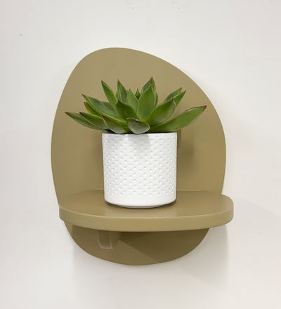 Mini Succulent & Pot