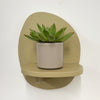 Mini Lipstick Echeveria & Pot
