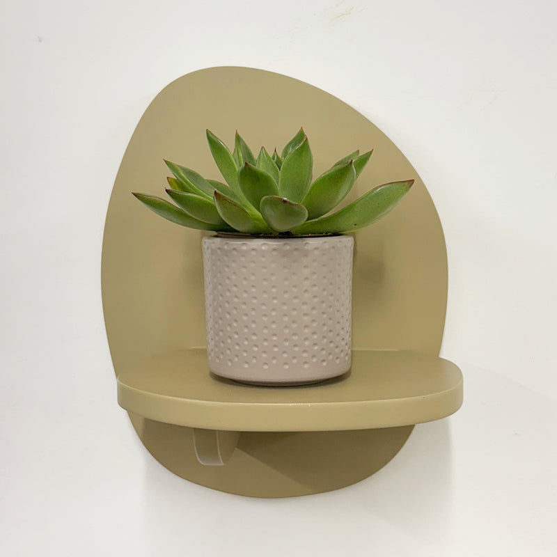 Mini Lipstick Echeveria & Pot