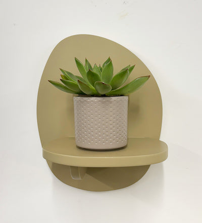 Mini Succulent & Pot