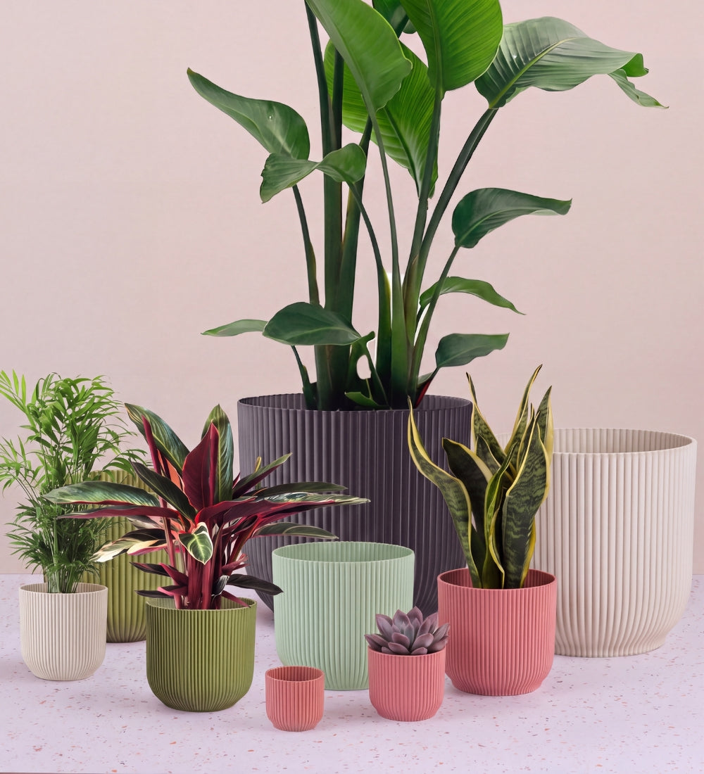 Elho Vibes Pot range