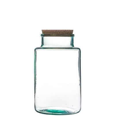 Terrarium Kit