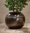 Iron Globe Planter
