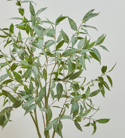 Artificial Eucalyptus Globulus Tree