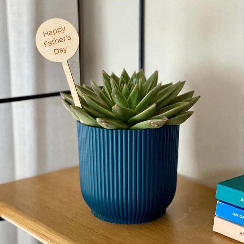 Fathers Day Plant Pick