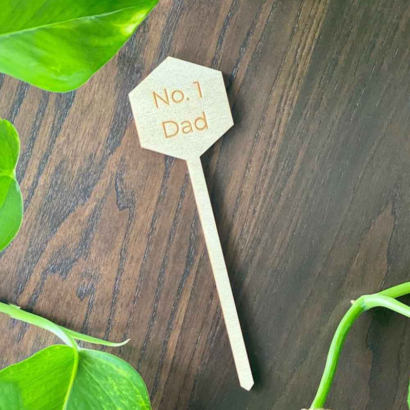 No. 1 Dad Plant Pick