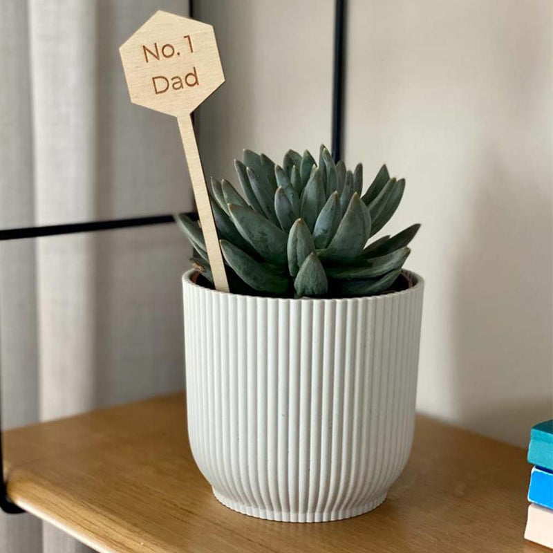 No. 1 Dad Plant Pick