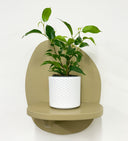 White Pot