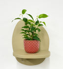 Pink Pot