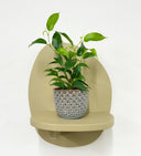 Blue Pot