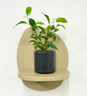 Grey Pot