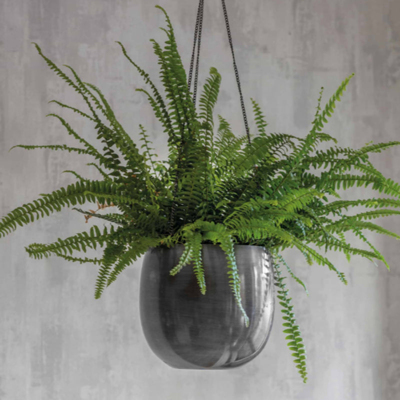 Hanging Plant Pot